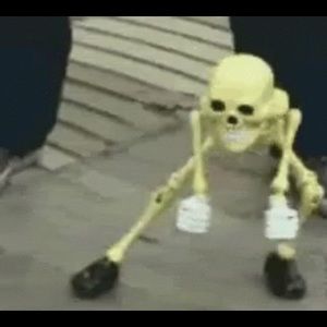 Meet your Posher, Amelia